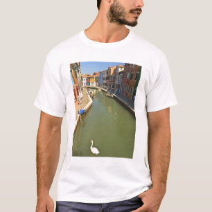 Camiseta Cisnes en canal, Isla de Burano, Venecia, Italia