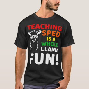 Camiseta Cita del profesor _40 inspirada en la educación es