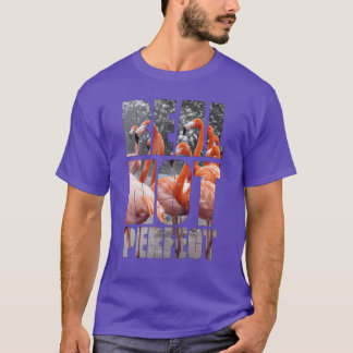 Camiseta Cita real no perfecta pájaros flamantes orópicos g