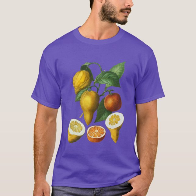 CAMISETA CITRUS FRUIT (Anverso)