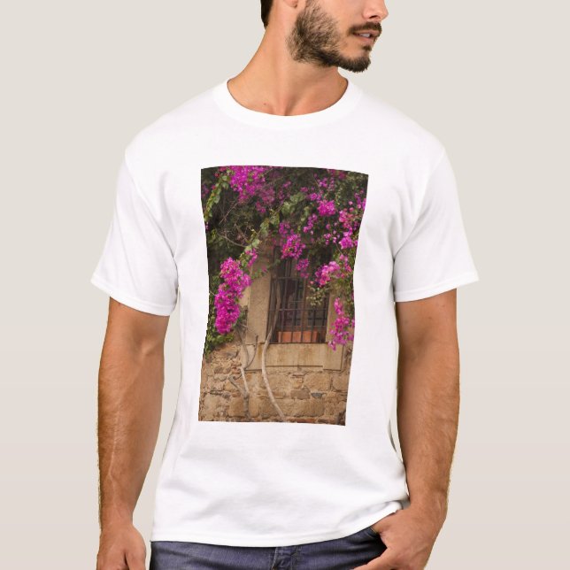 Camiseta Ciudad Monumental, edificios cubiertos de flores (Anverso)