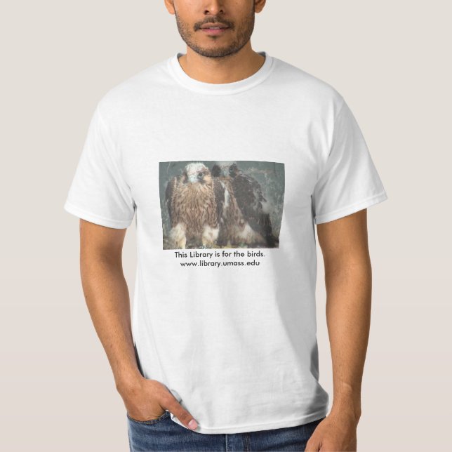 Camiseta Clase del halcón de 2014 (Anverso)