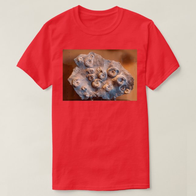 Camiseta Clásico fósil de amoníaco de Grammotiertenense (Diseño del anverso)
