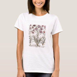 Camiseta Claveles: majore del flore 1.Caryophyllus; 2.