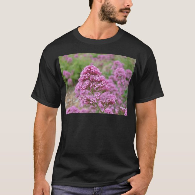 Camiseta Clavelito de mar (Anverso)