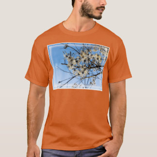 Camiseta Clematis blancos fluidos en invierno con cielo azu