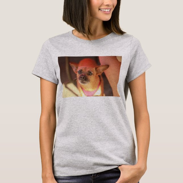 Camiseta closet de perros chihuahua fiesta marrón (Anverso)