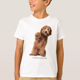 Camiseta Cobberdog australiano