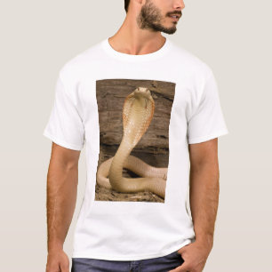 Camiseta Cobra Monóculo Albina, Naja kaouthia, enroscada