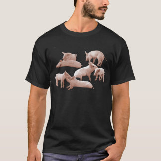 Camiseta cochinillos, cerdo,