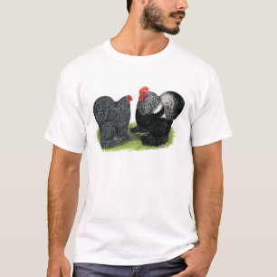 Camiseta Cochins: lápices de plata
