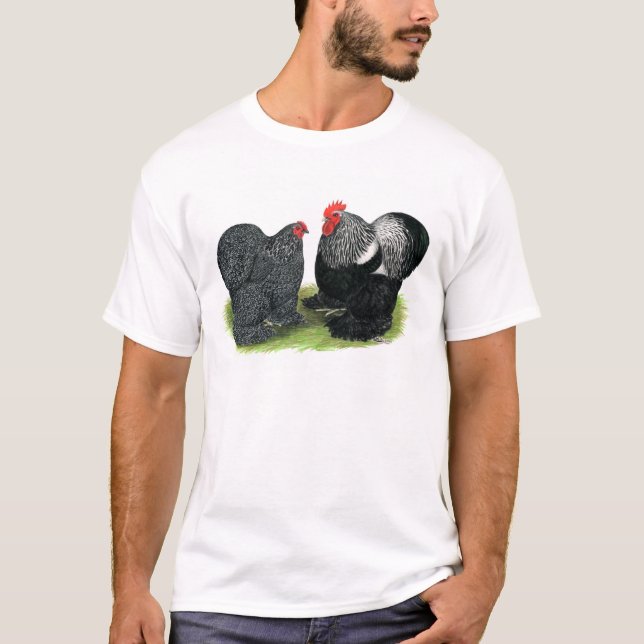 Camiseta Cochins: lápices de plata (Anverso)