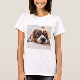 Camiseta Cocker Spaniel Dog de ojos tristes