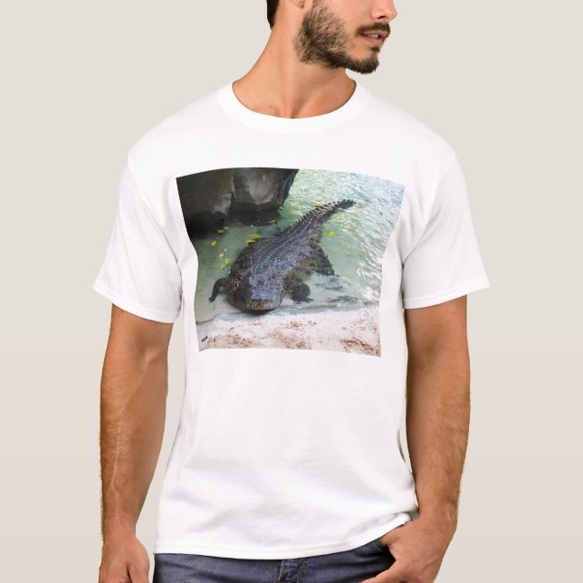 Camiseta Cocodrilo (Anverso)