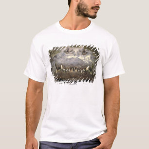 Camiseta Cocodrilo americano