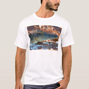 Camiseta Cocodrilo del agua salada