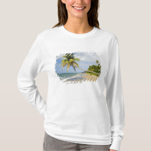 Camiseta Coconut Grove Beach en Cades Bay, con St.