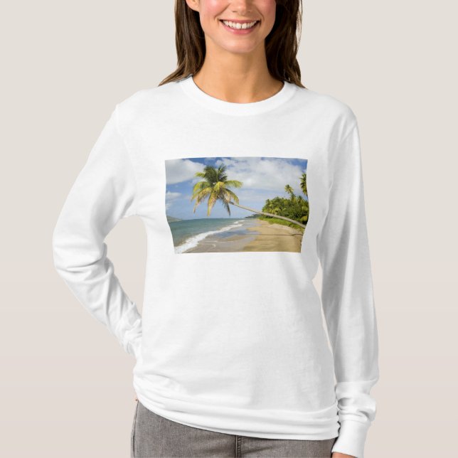 Camiseta Coconut Grove Beach en Cades Bay, con St. (Anverso)