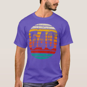 Camiseta Código de área 540 de atardecer de época con probl