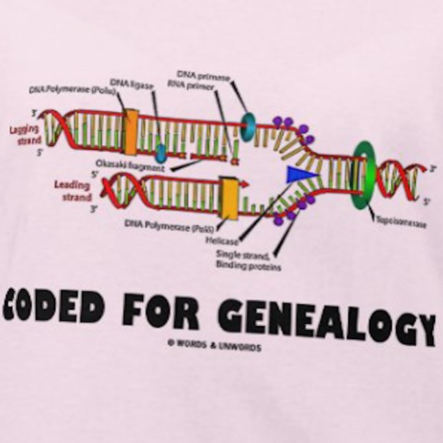 Camiseta Código Para Genealogía (Replicación De ADN) (If you're into genealogy - i.e., as your family's family historian - you'll enjoy this DNA humor tee)