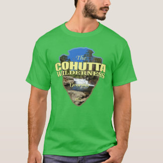 Camiseta Cohutta Wilderness punta de flecha vintage