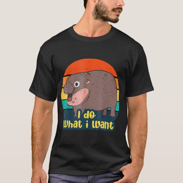 Camiseta Coincidencia de vintage (Anverso)