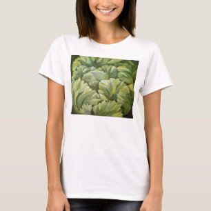 Camiseta Col 2013