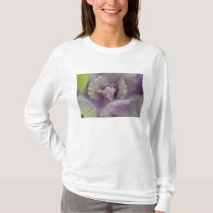 Camiseta Col ornamental
