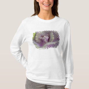Camiseta Col rizada decorativa