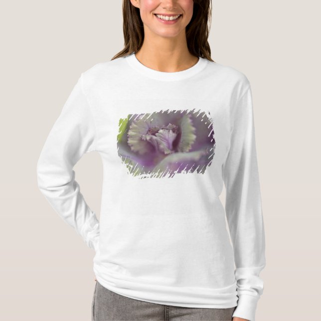 Camiseta Col rizada decorativa (Anverso)