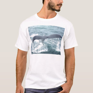 Camiseta cola de la ballena