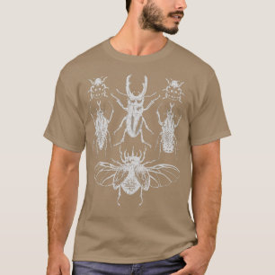 Camiseta Colección de fallos de insectos Cicada Stag Beetle