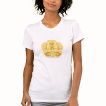 Colección de Fe Angelical