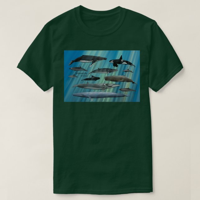 Camiseta Colección WhaleArt (Diseño del anverso)