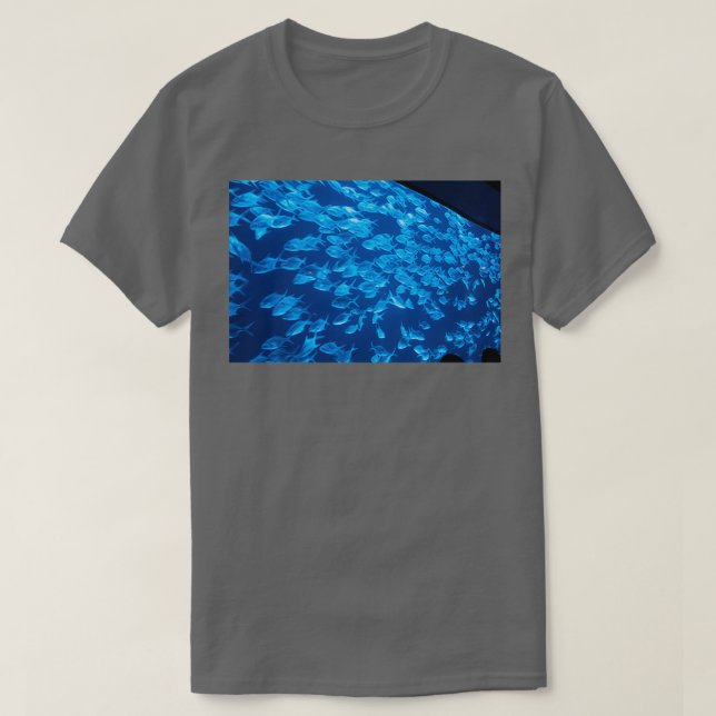 Camiseta Colegio (Diseño del anverso)