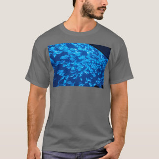 Camiseta Colegio
