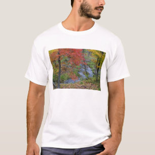 Camiseta Coles Creek bordeado de arce de otoño cerca