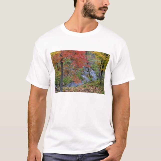 Camiseta Coles Creek bordeado de arce de otoño cerca (Anverso)