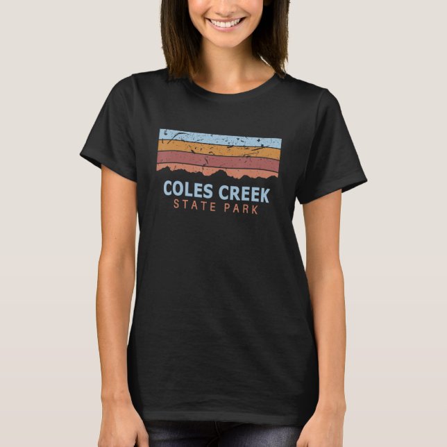 Camiseta Coles Creek State Park New York Retro Guay (Anverso)