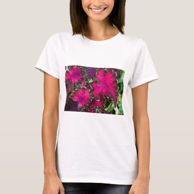 Camiseta Coleus Macro (Anverso)