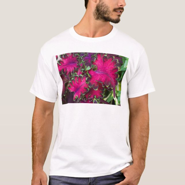 Camiseta Coleus Macro (Anverso)