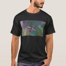 Colibrí