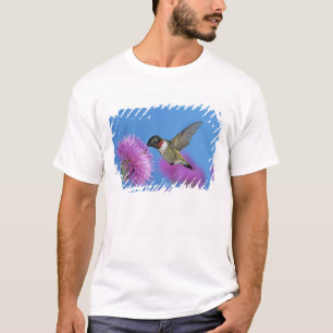 Camiseta Colibrí de garganta rubí