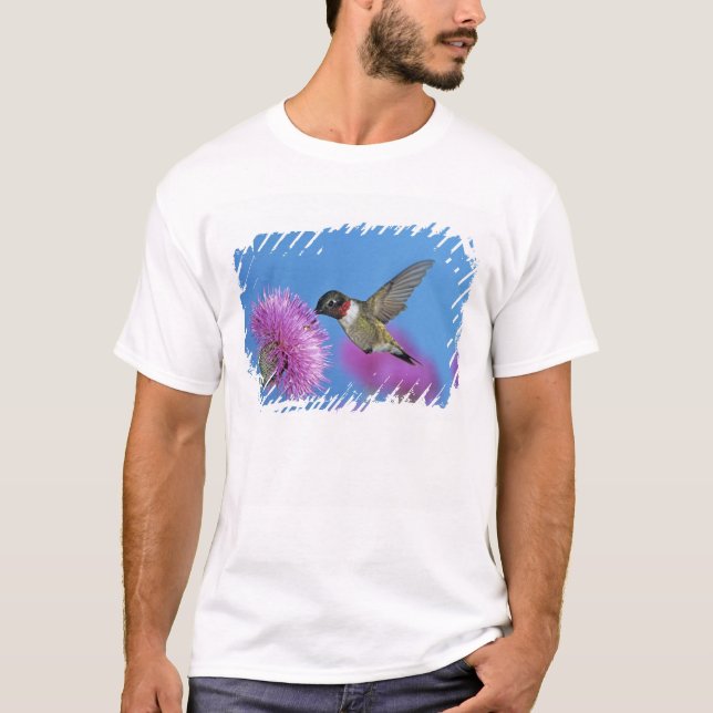 Camiseta Colibrí de garganta rubí (Anverso)