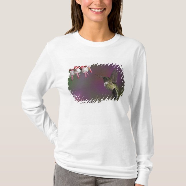 Camiseta Colibrí garganta rubí macho (Anverso)