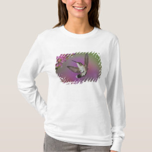 Camiseta Colibrí garganta rubí macho juvenil