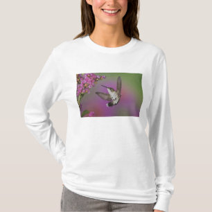 Camiseta Colibrí garganta rubí macho juvenil