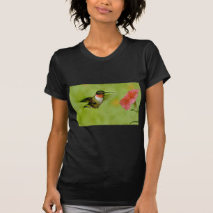 Camiseta colibrí Rubí-throated (varón) con rosa de la