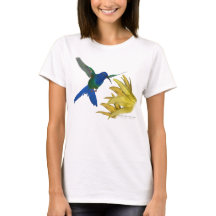 colibrí Trago-atado