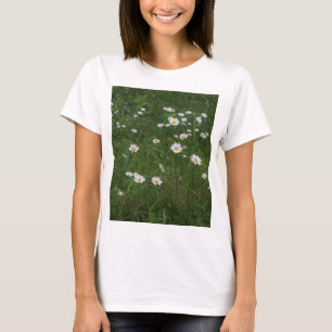 Camiseta Colina de margaritas